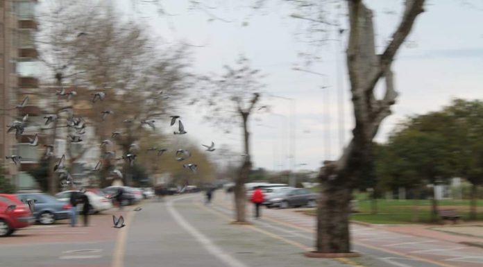 Gönlü ağzında gezenler
