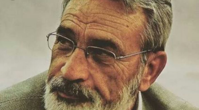 Suskun ve kederli / İsmet Özel