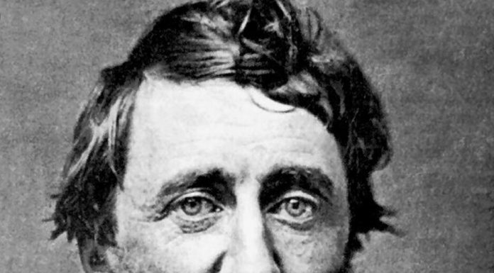 Asıl yalnızlık insanlarla yaşanıyor / Henry David Thoreau