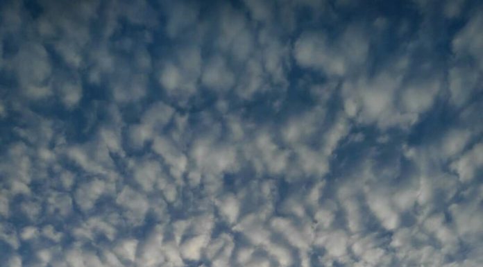 Gökyüzünün tarlaları sürülür her Ekim’de