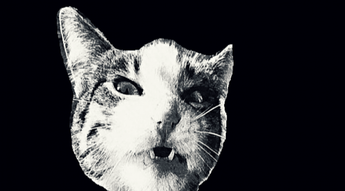 Fesleğenler de sinekleri kovamıyor artık..