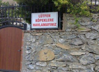 İnsan, köpeğe niye havlar?