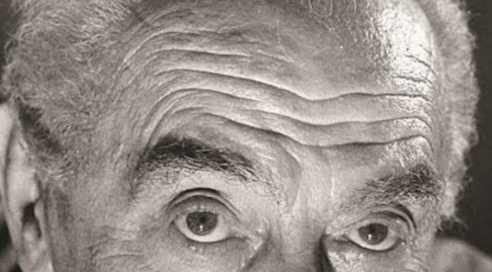 Son Beklediğim / Faruk Nafiz Çamlıbel