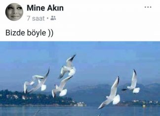 Kadınlar gününü kimler, niçin kutlar?