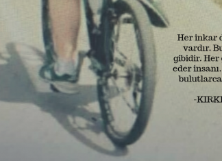 İnkar iradesi ve acizliği.. İnkarın gölgesi