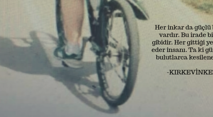 İnkar iradesi ve acizliği.. İnkarın gölgesi