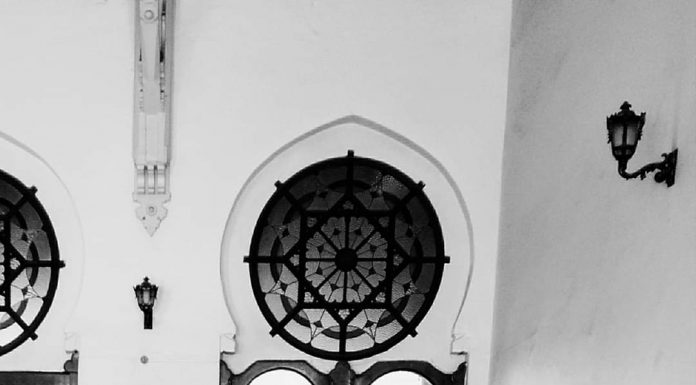 Sustuklarıma saydığım / Osman Erim