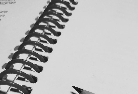 İki dağ / Osman Erim