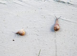 İçindeki sistemin adına vicdan deniyor