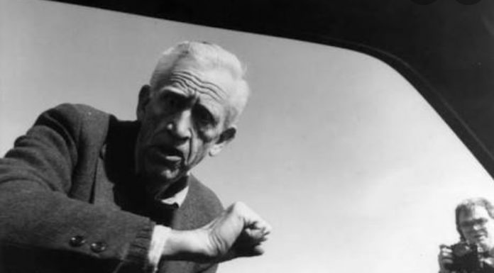 Söylemek zorunda olduğumuz zırvalar / J.D Salinger