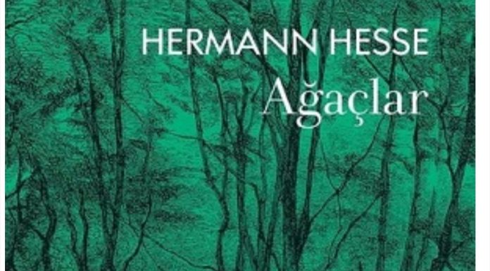 Hermann Hesse’nin ağaçları..