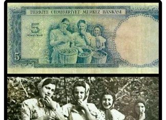 İnsanın özgürlük alanı / Osman Erim