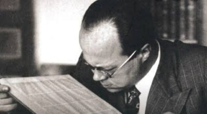 Yalnızım diyorsun / Cemil Meriç