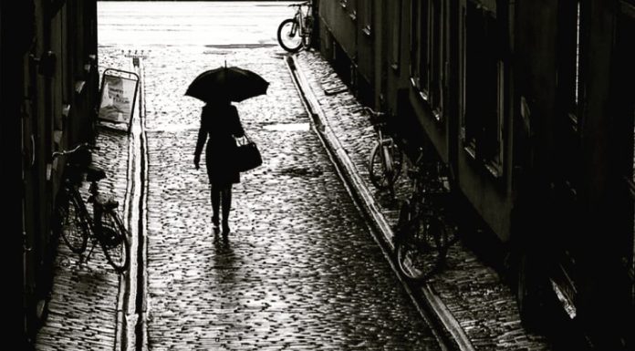 Gecenin de dili var / Osman Erim