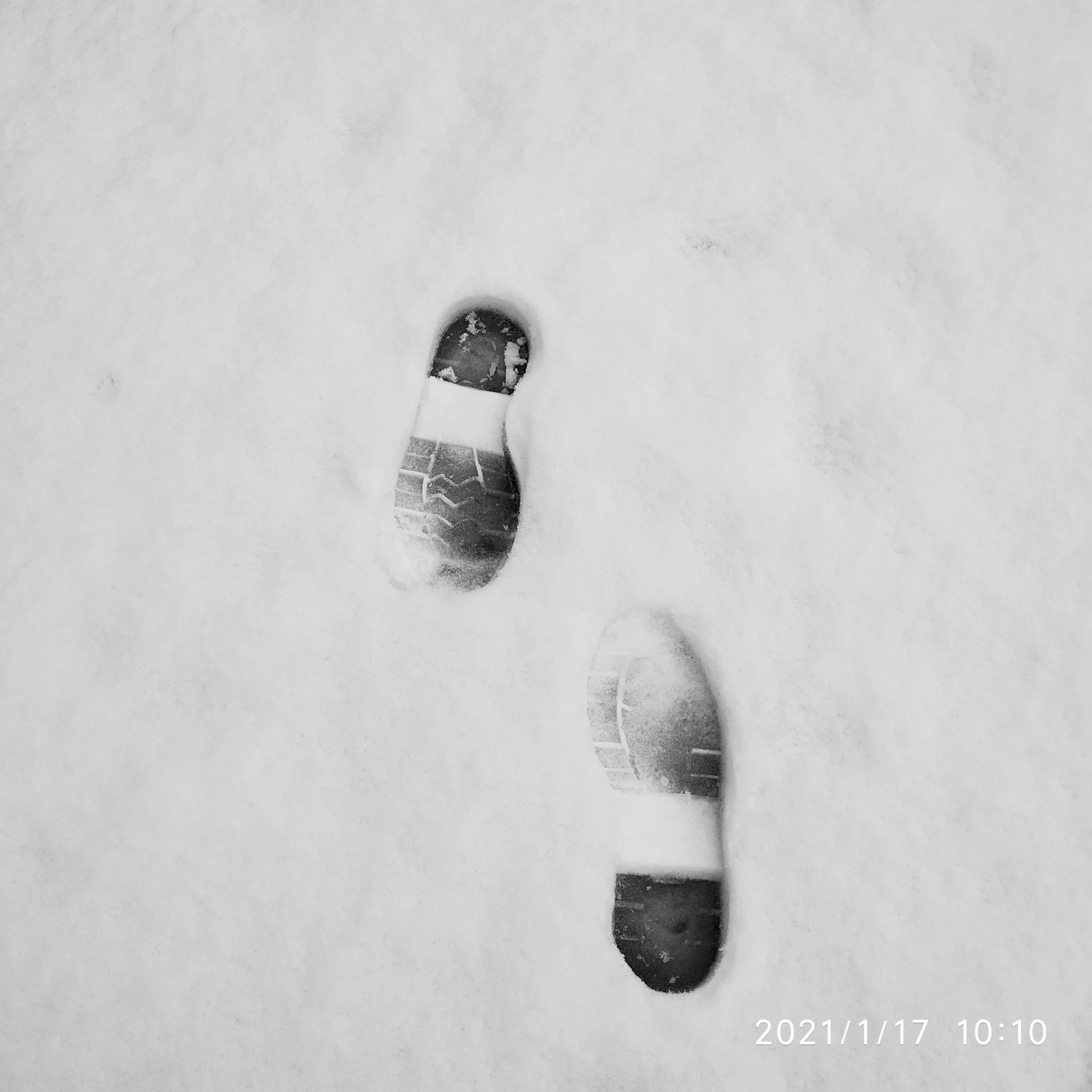IMG_20210117_101106