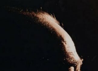 Yeşilçam’a hayat veren seslerden biriydi o. Hayri Esen efsanedir