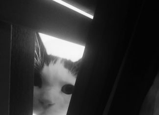 Yeni gün ve meçhuller