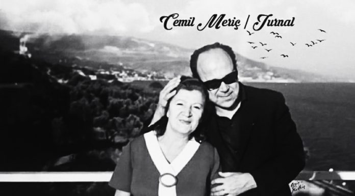 Bir sevgi ve bir hayranlık / Cemil Meriç