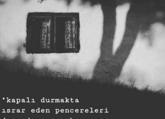 Israrcı pencereleri de duvardan sayın/ Osman Erim