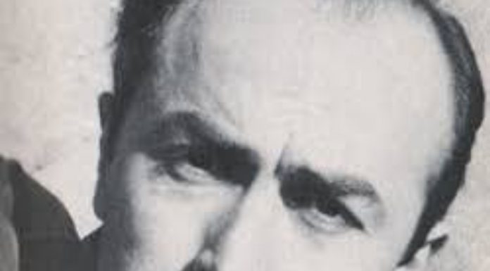 Başım dönüyor ikimizden / Edip Cansever