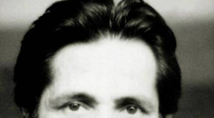 Otogarlar ve hastane duvarları/ Cahit Zarifoğlu