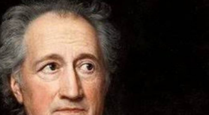 Dönüşme/ Johann Wolfgang Von Goethe