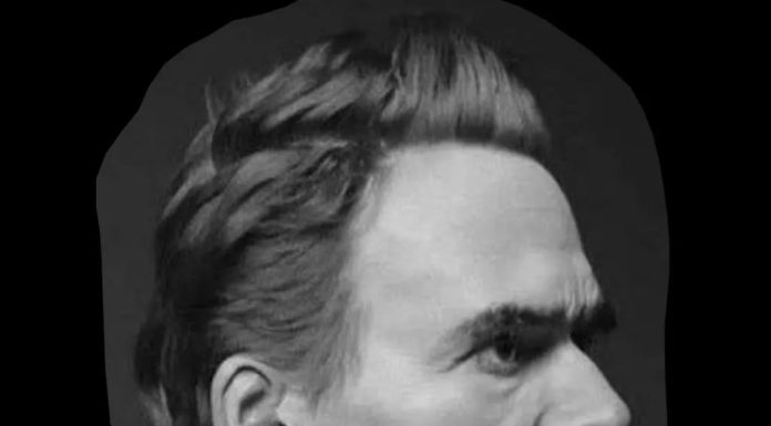 Görmezden gelmek / Nietzsche